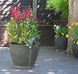 rubber weeding bucket - can also be used as a garden planter or for storag