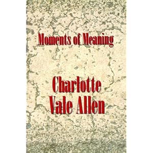Moments of Meaning by Charlotte Vale-Allen