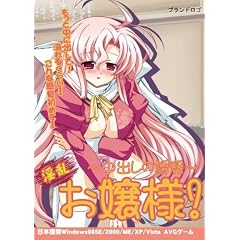 淫乱お嬢様 ~中出しの誘惑~