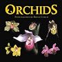 Orchids