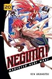 Negima!, Volume 20: Magister Negi Magi [NEGIMA V20]