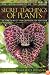 The Secret Teachings of Plants: The Intelligence of the Heart in the Direct Perception of Nature