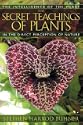 The Secret Teachings of Plants