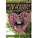 The Secret Teachings of Plants: The Intelligence of the Heart in Direct Perception of Nature
