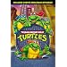 Teenage Mutant Ninja Turtles: Season 1 Ver 2