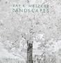 Ray K. Metzker: Landscapes