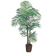 Areca Silk Palm Tree 5.5' w/ Wicker Basket
