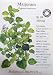 Sweet Marjoram Cerified Organic Heirloom Seeds 250 Seeds
