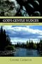 God's Gentle Nudges: Inspirational Stories of How God Lovingly Leads Us Closer to HIm