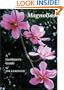 Magnolias: A Gardener's Guide