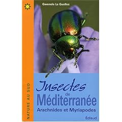 Insectes de M�diterran�e : Arachnides et Myriapodes