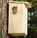 Squirrel House 9-1/4\