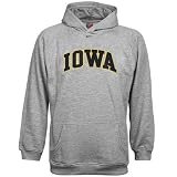 Nike Iowa Hawkeyes Ash Toddler Classic College Hoody Sweatshirt