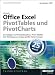 Microsoft Office Excel: PivotTables und PivotCharts. Ab Version 2007