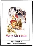 Bear Shtoors: 16x9 Widescreen TV.: Greeting Card: Merry Christmas