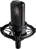 Audio-Technica AT4040 Large-Diaphragm Studio Condenser Mic