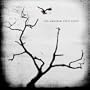 The Airborne Toxic Event [Vinyl]