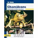 Eigenschaften Trixie  / 017407 Chamäleons / D. Kieselbach