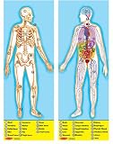 Melissa & Doug HUMAN ANATOMY FULL BODY 100 PC FLOOR PUZZLE