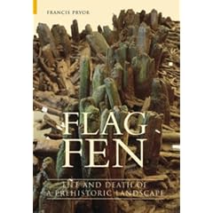 Flag Fen: Life and Death of a Prehistoric Landscape