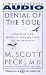 Denial of the Soul: Spiritual & Medical Perspectives on Euthanasia and Morality