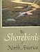 Shorebirds of North America