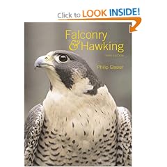 Falconry and Hawking