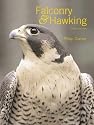 Falconry and Hawking