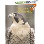 Falconry and Hawking
