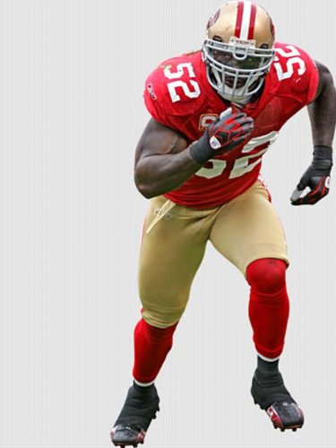 Wallpaper Fathead Fathead NFL Players and Logos Patrick Willis 1220318