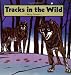 Search : Tracks in the Wild