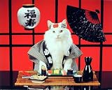 Hilarious Sushi Cat 2 Funny College Art Poster Print - 20