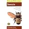 Insect Books for Children