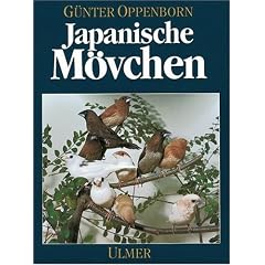 Japanische M�vchen: Herkunft, Zucht, Haltung