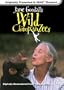 Jane Goodall's Wild Chimpanzees (Large Format) [VHS]