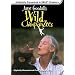 Jane Goodall's Wild Chimpanzees (Large Format) [VHS]