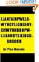 Llanfairpwllgwyngyllgogerychwyrndropwllllandysiliogogogoch