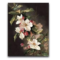 Dog Roses - Box set of 12 greeting cards and matching patterned envelopes