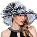 Women Derby Church Dress Fascinator Wide Brim Ruffles Tea Party Wedding Organza Hats S042b (Black)
