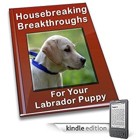 Housebreaking Breakthroughs For Your Labrador Puppy