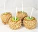 erin's caramel peanut apple - set of 4