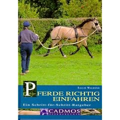 Pferde richtig einfahren