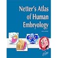 Netter's Atlas of Human Embryology (Netter Basic Science) by Larry R. Cochard PhD