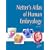 Netter's Atlas of Human Embryology (Netter Basic Science)