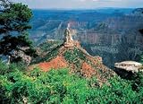 Grand Canyon - North Rim 550 Piece Puzzle