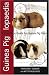 Guinea Piglopaedia: A Complete Guide to Guinea Pigs (Complete Guide To... (Ringpress Books))