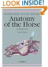 Anatomy of the Horse: An Illustrated Text