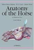 Anatomy of the Horse: An Illustrated Text Anatomy of the Horse: An Illustrated Text