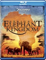 Watch Africa's Elephant Kingdom Movie Online.