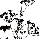 Wand Tattoo / Wallsticker SILHOUETTE FLOWERS